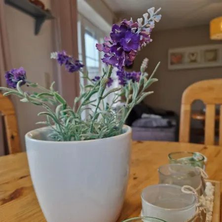Appartamento Ferienwohnung Eg Seemuschel *
